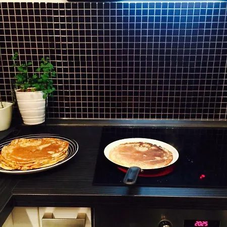 فندق مبيت وإفطار Sandra's House Log pri Brezovici