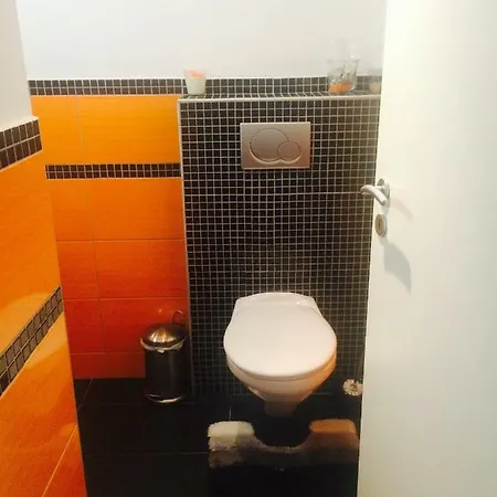 Sandra's House * Log pri Brezovici