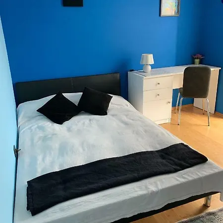 Sandra's House فندق مبيت وإفطار Log pri Brezovici